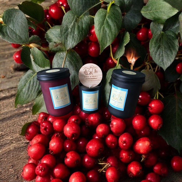 Three scented candles surrounded by bright red berries and green leaves.