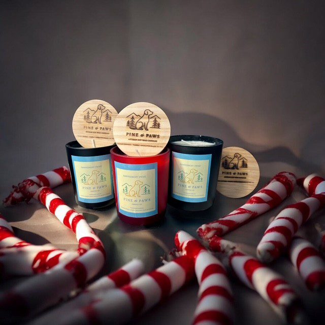 Festive candles surrounded by candy canes on a dark background.