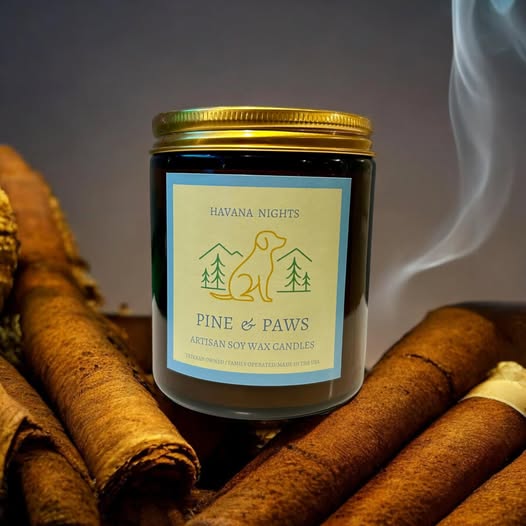 A lit scented candle surrounded by cinnamon sticks, emitting smoke.